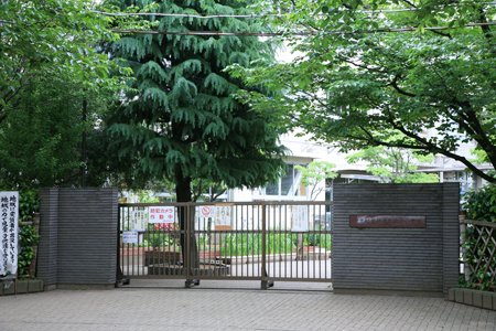 小学校　葛飾区立綾南小学校（小学校）まで555m