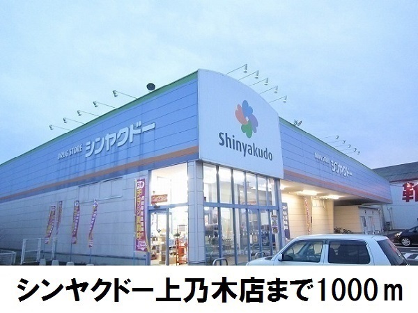 ドラックストア　シンヤクドー上乃木店（ドラッグストア）まで1000m