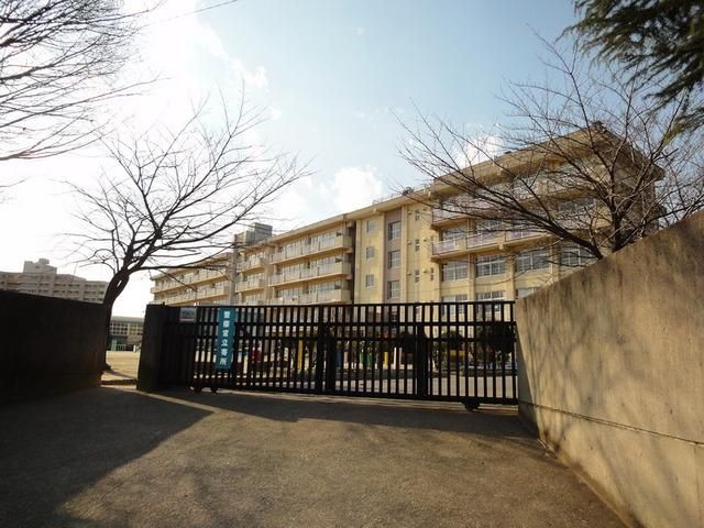 小学校　横須賀小学校（小学校）まで250m