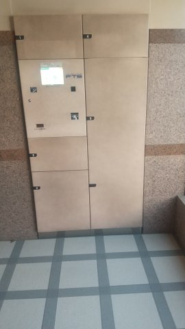 パークヒルズ武蔵小杉の居間写真