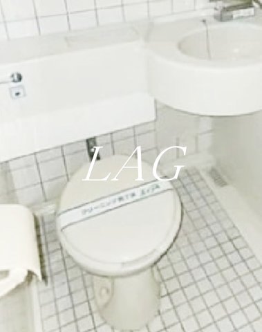 東急東横線 田園調布駅 徒歩7分 2階建 築41年のトイレ写真
