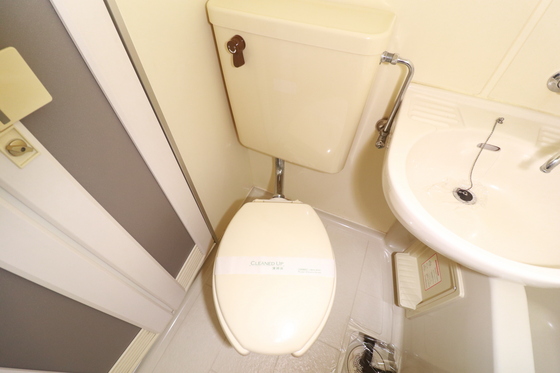 トイレ　※別号室の写真です。