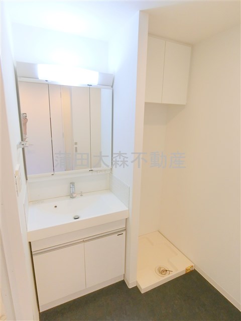 洗面設備　洗面脱衣所　3面鏡の独立洗面台　棚収納付洗濯機置き場