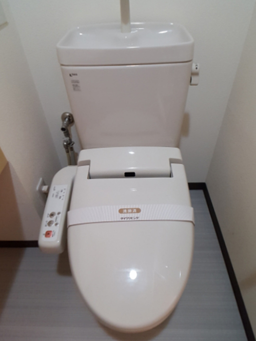 トイレ　画像は別号室。ご参考にどうぞ