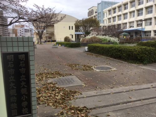 幼稚園・保育園　大観幼稚園（幼稚園・保育園）まで647m