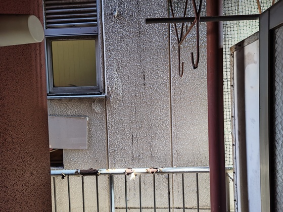 眺望　※他部屋の写真です。