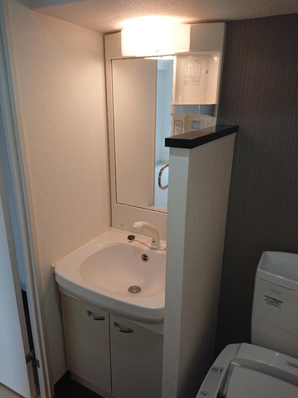洗面設備　お出かけ前の支度はこちらでされてください