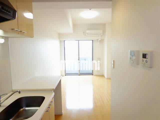 エントランス　玄関から見た居室です。