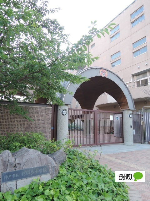 小学校　神戸市立だいち小学校（小学校）まで602m