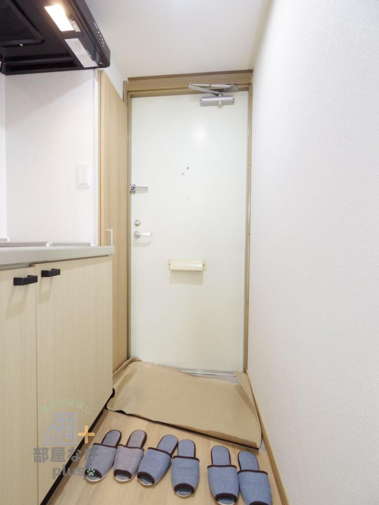 玄関　※他号室写真です