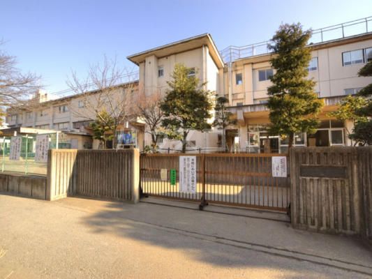小学校　柏市立柏第二小学校（小学校）まで556m