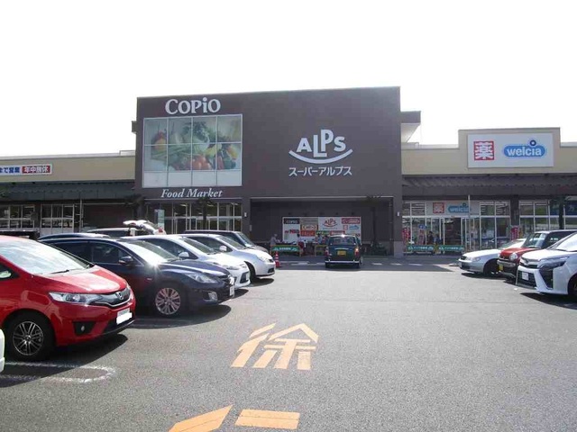 スーパー　アルプス（スーパー）まで450m