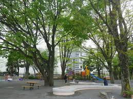 公園　上北沢公園（公園）まで805m