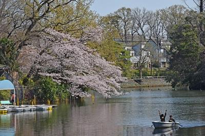 公園　武蔵関公園（公園）まで859m