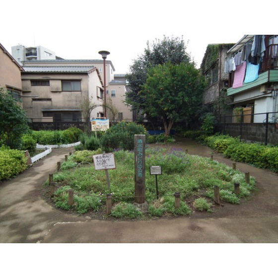 公園　清水町みどり公園（公園）まで260m