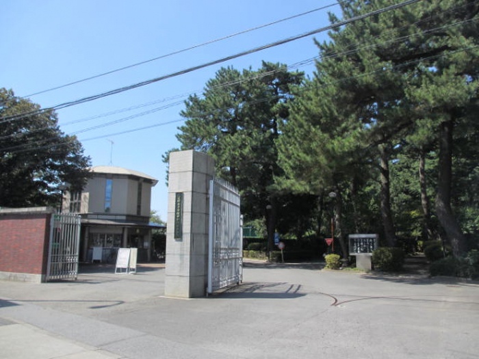 大学・短大　武蔵野大学（大学・短大）まで1000m