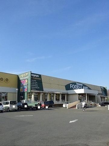 スーパー　スーパーいなげや（スーパー）まで400m