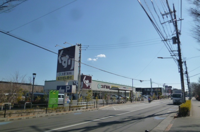 ドラックストア　スギ薬局東久留米上の原店（ドラッグストア）まで734m
