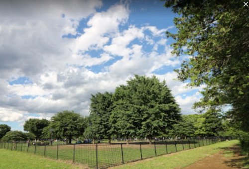 公園　木場公園 ドッグラン（公園）まで298m