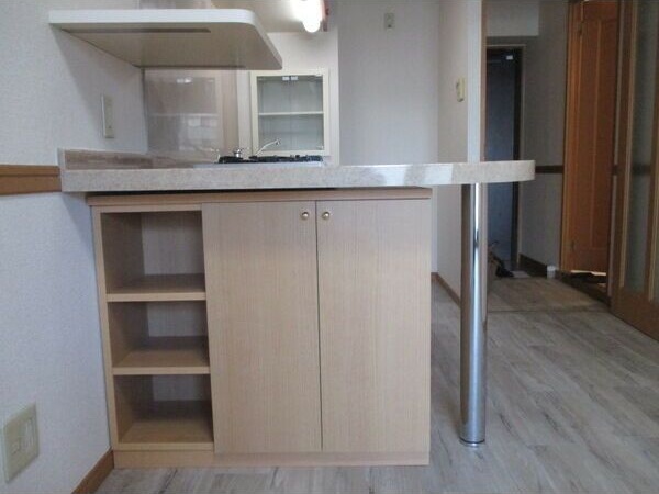収納　※写真は同じマンションの違う部屋のものになります。
