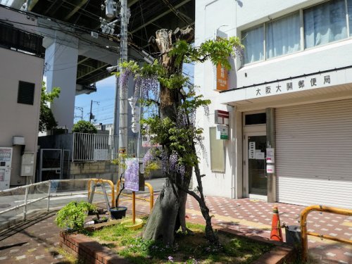 郵便局　大阪大開郵便局（郵便局）まで439m