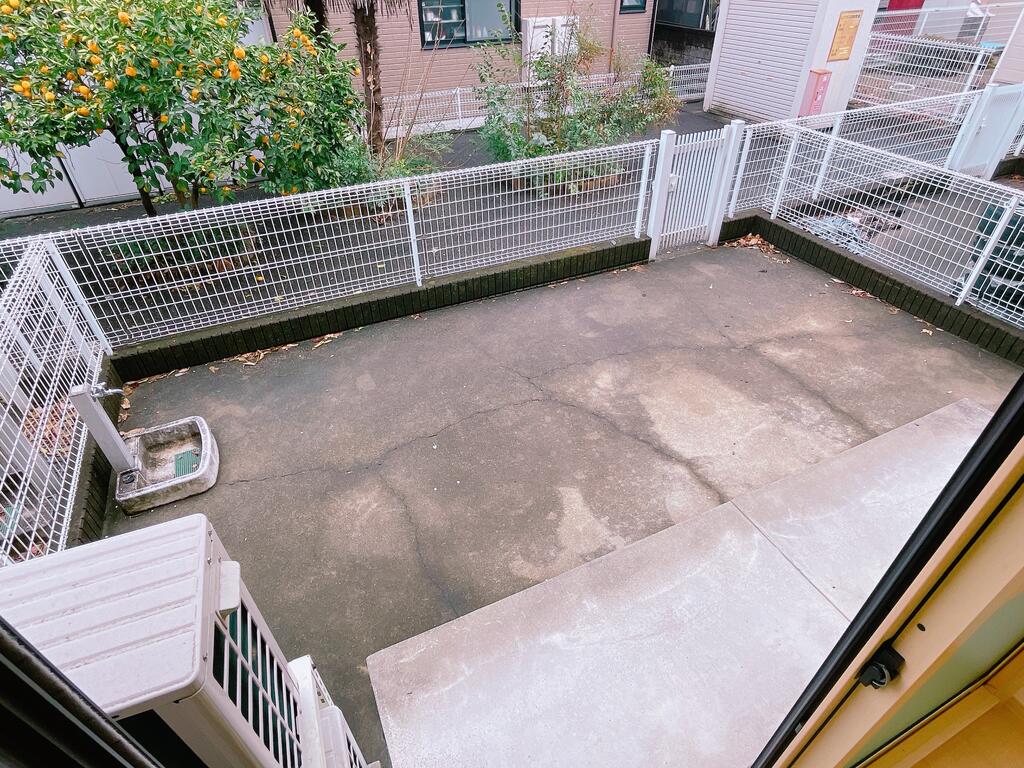 庭