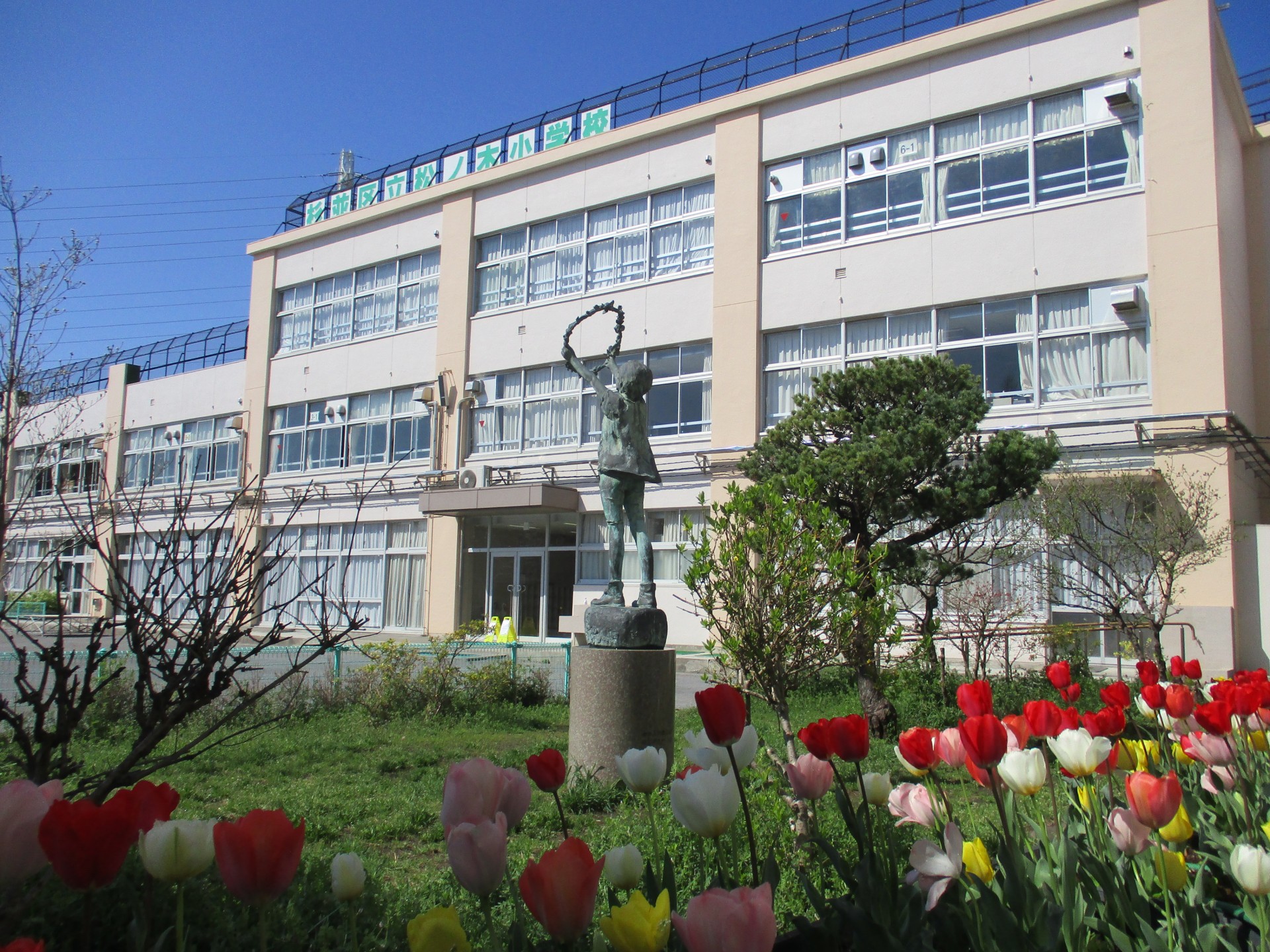 小学校　杉並区立松ノ木小学校（小学校）まで252m