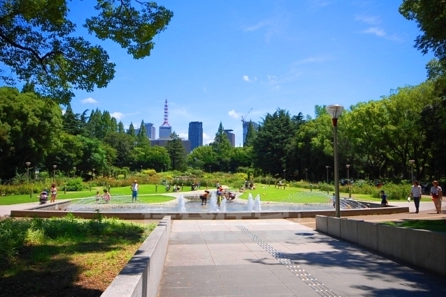 公園　靱公園（公園）まで374m