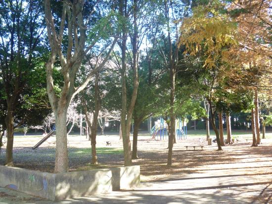 公園　日吉台中央公園（公園）まで2322m