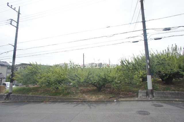 眺望　バルコニーからの景色です！