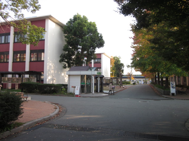 大学・短大　国立大学法人鳥取大学（大学・短大）まで295m
