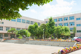 小学校　札幌市立幌南小学校（小学校）まで382m