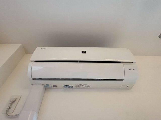 W IKEDAのその他写真