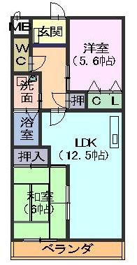 アピテ池場の間取り