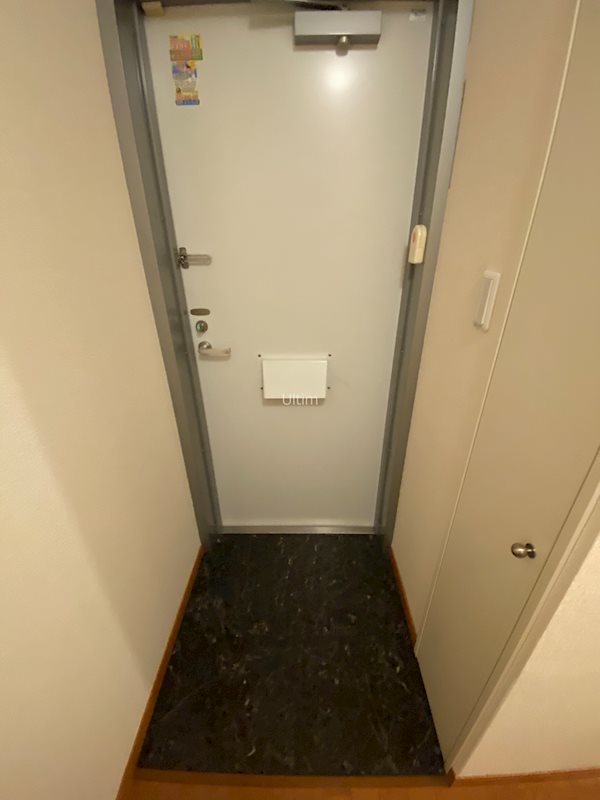 玄関　※別のお部屋の写真です