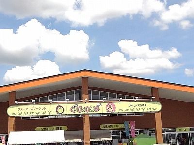 スーパー　ぐぅぴぃひろば（スーパー）まで600m