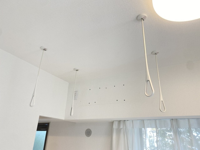 その他設備　リビング天井にランドリーポール（エアフープ）付き♪