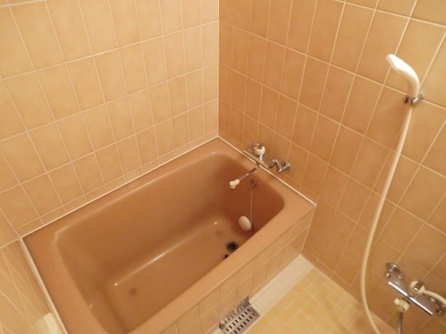 綾東ヴィレッジ弐番館の風呂写真