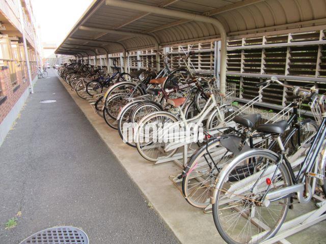 その他共有部分　敷地内駐輪場です。