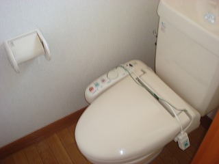 YハイツブルースカイIIのトイレ写真