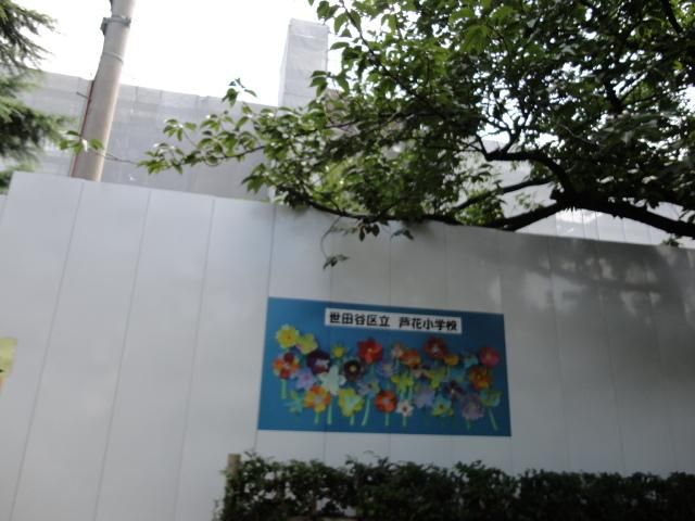小学校　世田谷区立芦花小学校（小学校）まで740m