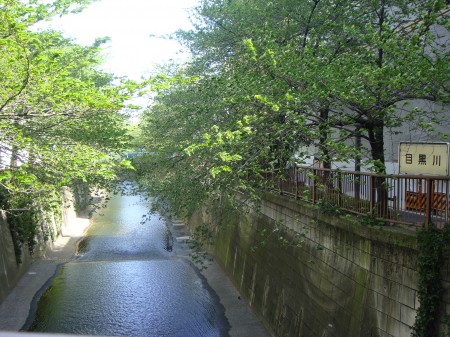 その他　目黒川（その他）まで1748m