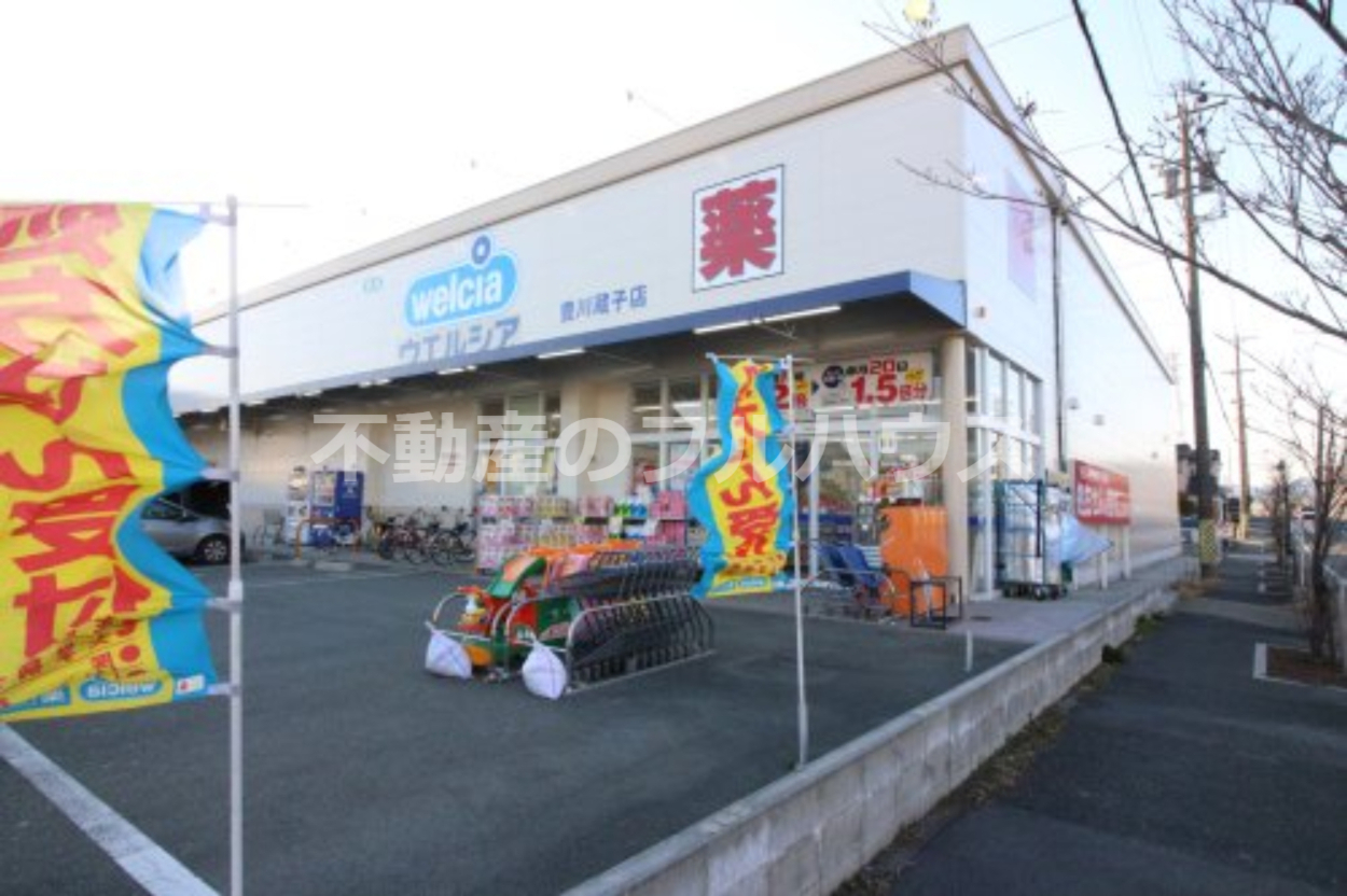 【豊川市蔵子のアパートのドラックストア】