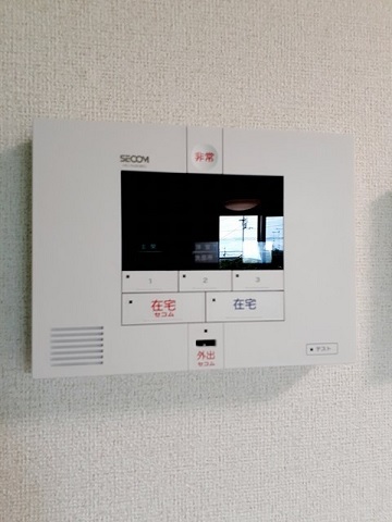 プレフェリート・V_その他_2