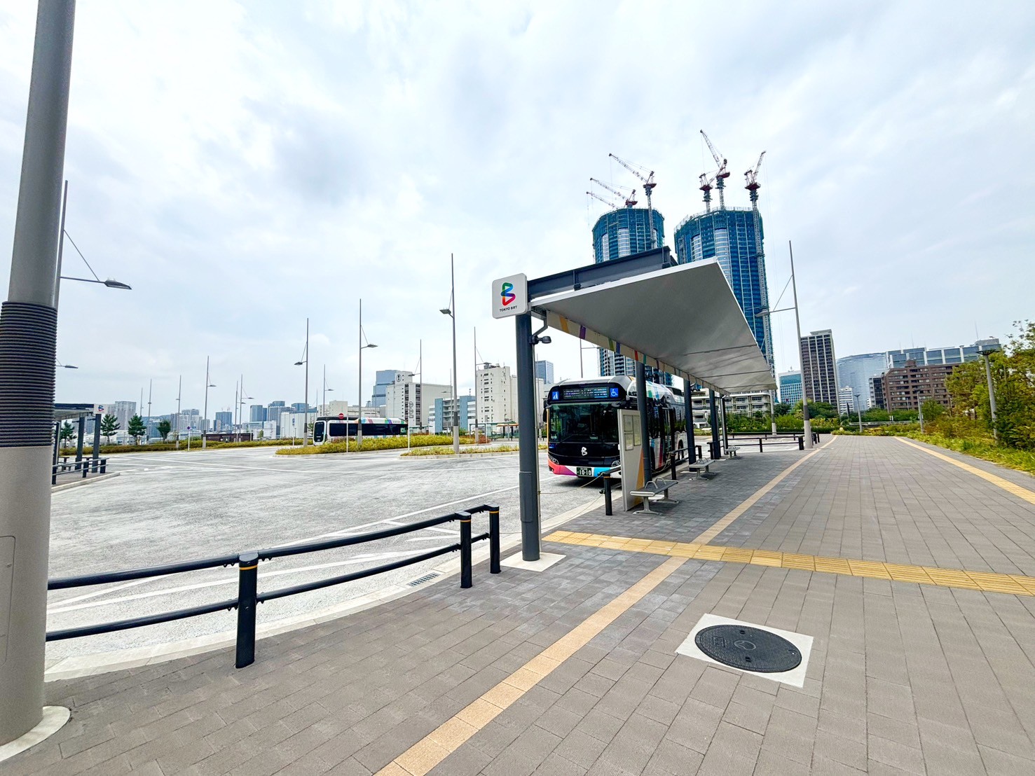 SARUME様おまとめ11点 マメクロゴウチの2020プレ