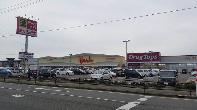 スーパー　原信新通店（スーパー）まで1074m