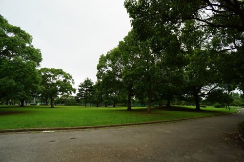 公園　都立篠崎公園（公園）まで648m