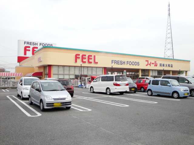 その他　フィール岡崎大和店まで912ｍ