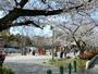 その他　江坂公園（その他）まで417m