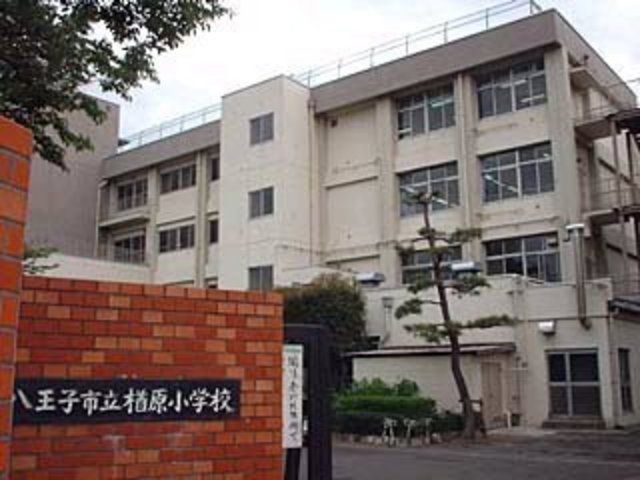 中学校　八王子市立楢原中学校（中学校）まで351m
